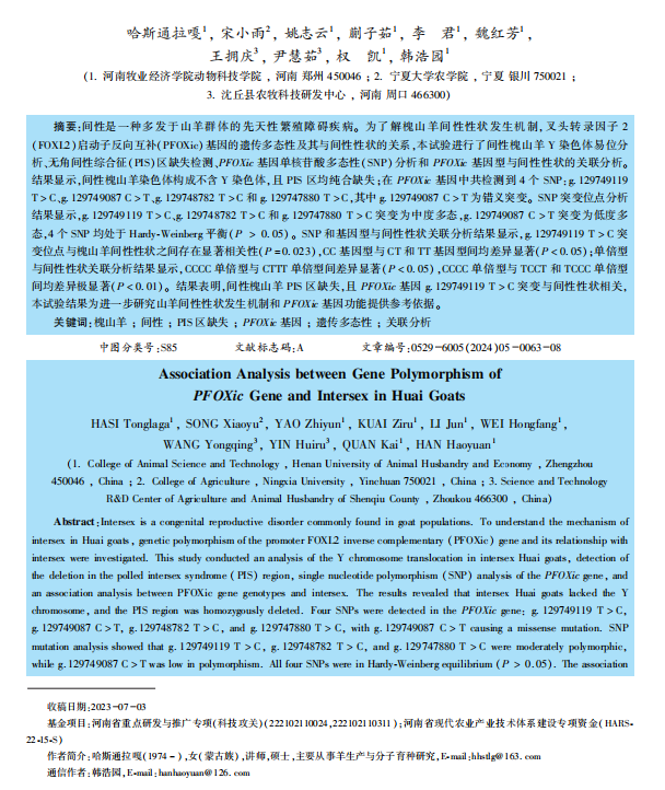 1719294865684.png image.png