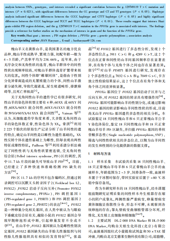 1719294875982.png image.png