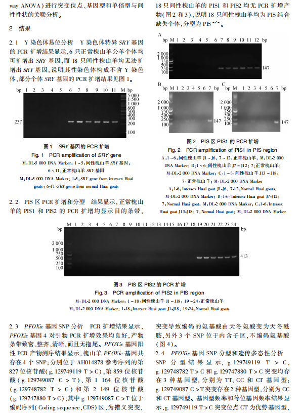 1719294898003.png image.png