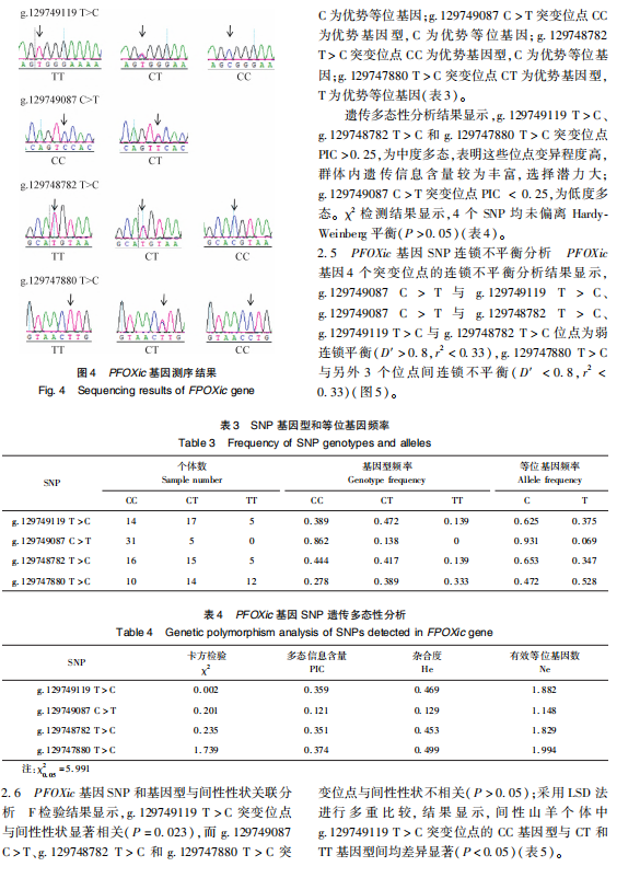 1719294910935.png image.png